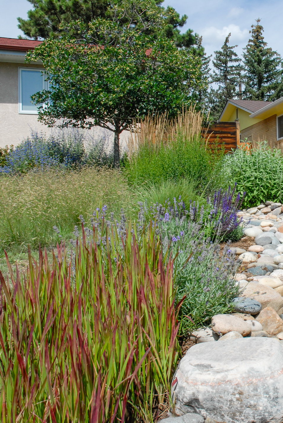 Southwest Spin Xeriscape